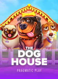 Maximizando Seus Ganhos em The Dog House: Estratégias e Dicas